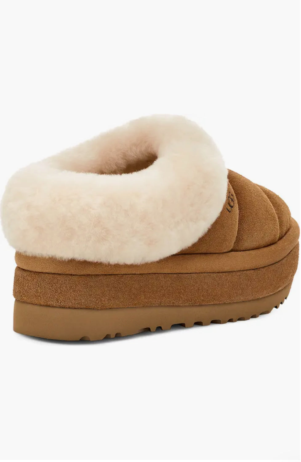 UGG Tazzlita