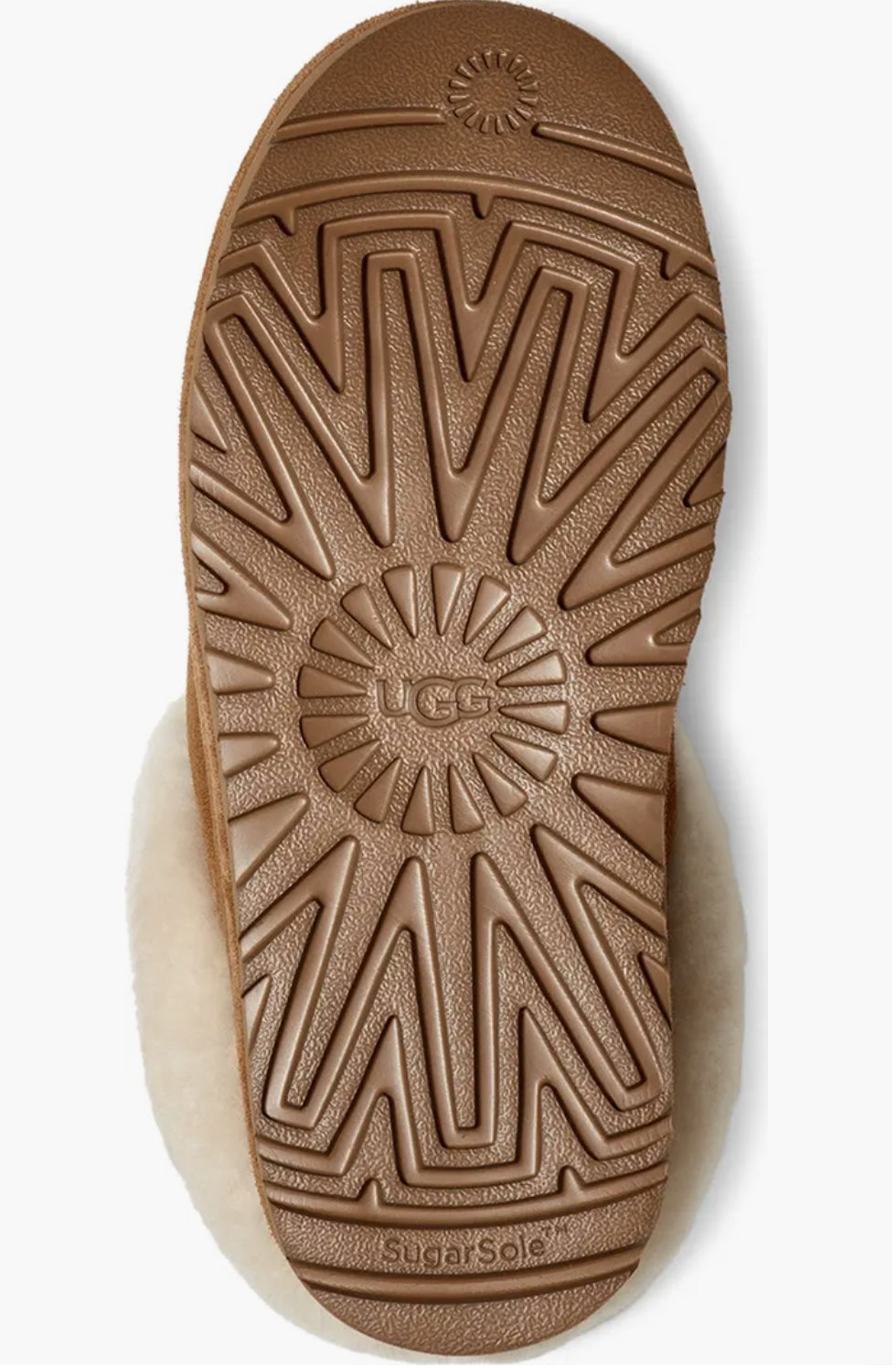 UGG Tazzlita