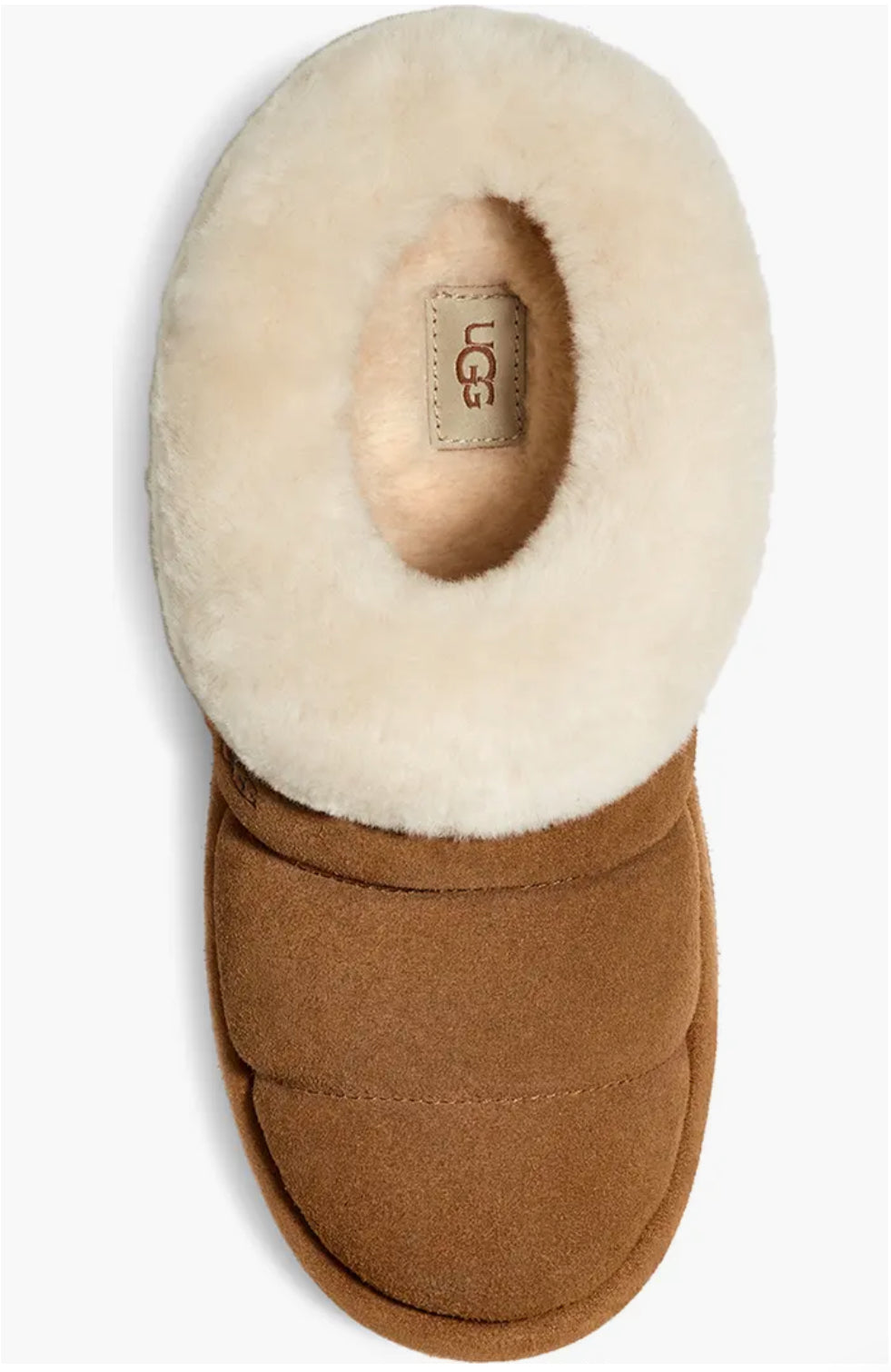 UGG Tazzlita